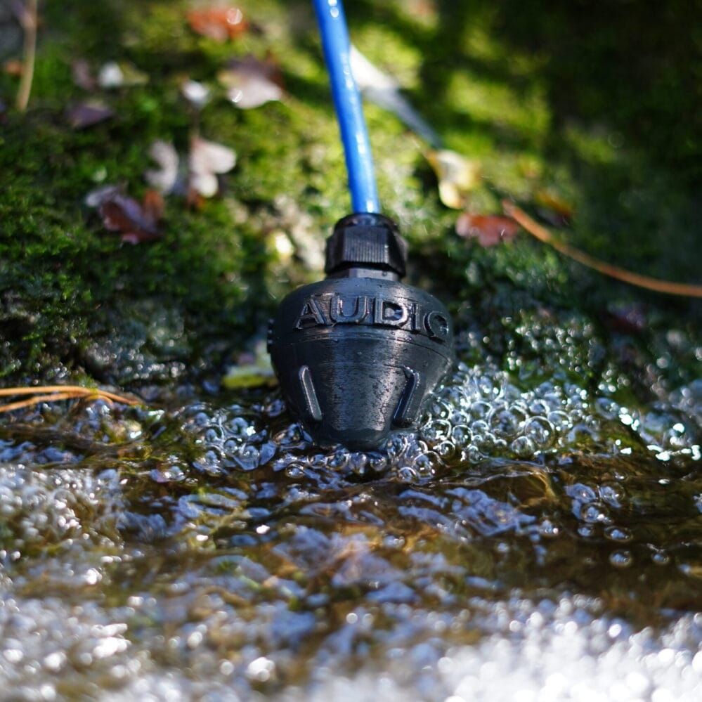 Hydrophone