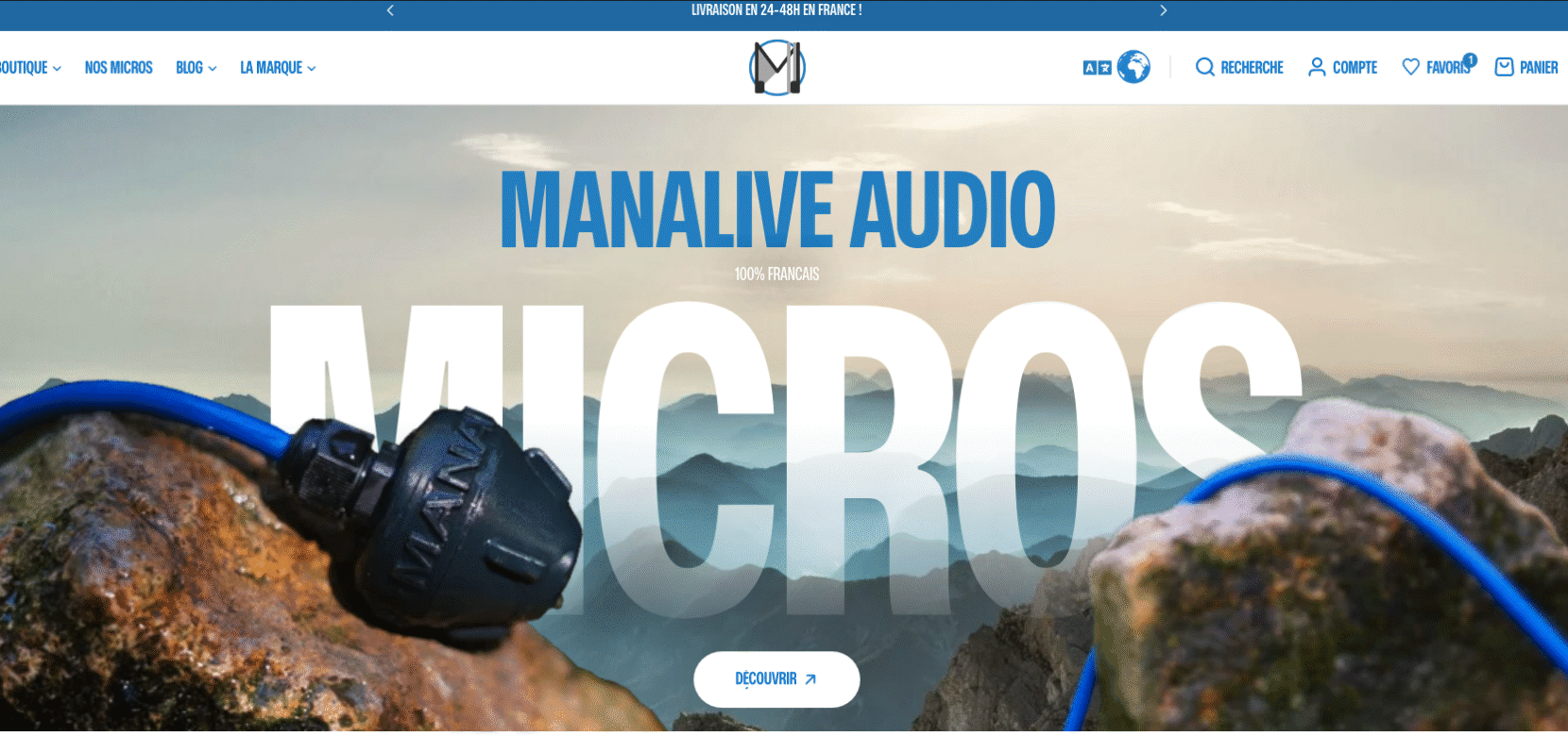 Accueil du site web