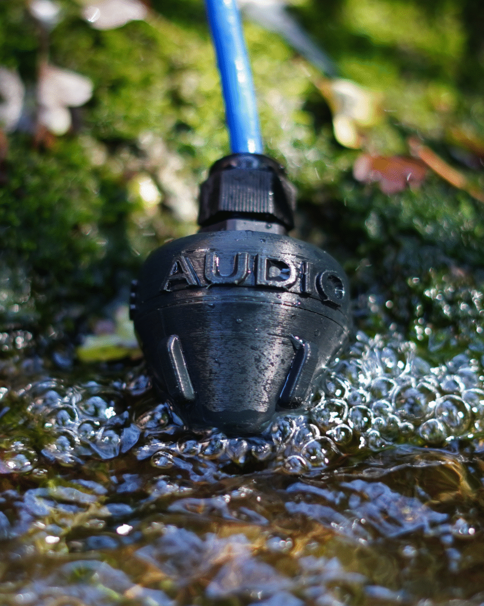 Vertical hydrophone manalive audio magnifique bubble close up